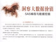 XY 洞察大数据价值SAS编程与数据挖掘9787111**1278