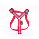 Favorite pets go out traction rope 3-piece set reflective dog rope dog cat collar harness dog walking rope dog chain supplies size S