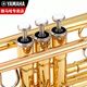雅马哈（YAMAHA）YTR-S1 降B调乐器 初学专业演奏小号推荐镀银考级 YTR-S1【预定】