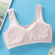 Girls de sixième année Sous-vêtements Junior High School Underwear Growth Growth Étudiants 9-12-14-16 ans Junior School Students Students High School Students High School Students Small Vest Bras 829 (blanc + Pink + Skin + Blue) One Taille (12-18 ans)