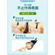 probodyPROBODY compound biotin tablets prevent loss I-fat-Pap Buddy men and women's vitamin B official flagship store SN695 1 bottle experience package