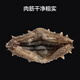 Jingdong Made in Dalian frozen ready-to-eat sea cucumbers, net weight 500g, family pack, 8-10 pieces, seafood nourishing gift box