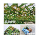 Yilan thickened camouflage net anti-aerial photography camouflage sunshade net anti-aging shade green net 150D jungle style 5*10 meters