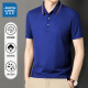 真维斯（Jeanswest）短袖POLO衫夏季纯色绣标上衣服polo衬衫上衣服polo衬短袖上衣 白色698 2XL （建议130-150斤）