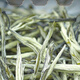 Ganxiangpo Xiangzhen Green Tea 2024 New Tea Yunnan Green Tea Strong Fragrance Type Hair Tip Spring Tip Silver Silk Pine Needle 2024 Green Tea Pine Needle Bag 500g