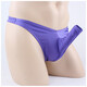 Livraison privée Sous-vêtements sexy sexy sous-vêtements pour hommes en tong pour hommes entièrement transparents Passion de nuit gratuite ouverte de T-T-Torsers pour hommes avec un tronc d'éléphant à manches en J à manches en J
