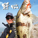
Blue Sailfish 22 Ambition Root Fishing Mandarin Fish Rod Super Fast Adjustment Lure Rod Universal Lightweight High Sensory Rod Stem Steamed Bass 2.03m /C-682M Gun Handle 2 Sections