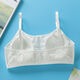 Girls de sixième année Sous-vêtements Junior High School Underwear Growth Growth Étudiants 9-12-14-16 ans Junior School Students Students High School Students High School Students Small Vest Bras 829 (blanc + Pink + Skin + Blue) One Taille (12-18 ans)