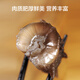 Jingdong Made in Dalian frozen ready-to-eat sea cucumbers, net weight 500g, family pack, 8-10 pieces, seafood nourishing gift box