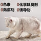 NetEase carefully selected cat litter mineral sand zeolite activated carbon raw ore dust-free mixed bentonite mineral cat litter 9Jin Jin equal to 0.5kg - single pack early adopter fresh - raw mineral cat litter