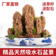 Landscape green sculpture natural water-absorbent stone bonsai custom-made water stone rockery stone micro-landscape decoration stone ornamental 20-24cm water-absorbent stone does not include pots and comes with grass seeds and stones