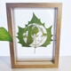 Wutong leaf carving and leaf carving photos high-end customization gifts for couples and friends to give gifts for best friends on Chinese Valentine's birthday. Wutong leaf + plastic seal + 6-inch photo frame with lights. Post a photo after placing an order (customer service)