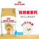 ROYAL CANIN Royal Dog Food PDA26 Poodle Teddy Old Dog Food-Age 8+ Full Price Food [>8 Years] PDA26 Poodle Old Dog 3KG