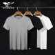 SEPTWOLVES [3-pack] SEPTWOLVES short-sleeved T-shirt for men, cotton short-sleeved men's T-shirt bottoming shirt, slim fit, sports and casual short-sleeved round neck, 3-pack XL (175/100) Recommended weight 130-150Jin [Jin equals 0.5 kg, ])