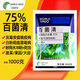 Wardino 75% chlorothalonil fungicide blue powder cucumber vegetable fruit tree powdery mildew downy mildew chlorothalon pesticide fungicide