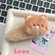 Plush Bear Rabbit Hair Clip for Women Autumn and Winter Side Bangs Clip Cute Children's BB Clip Girls Hair Clip Hair Clip Hairdress White Rabbit Clip + Pink Rabbit Clip