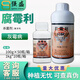Sumitomo Sumico Japan Sumitomo 43% procymidone cucumber grape tomato tomato gray mold pesticide fungicide 100g