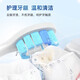 隽悦适用于飞利浦电动牙刷头HX684W/HX685E/HX685K/HX685T/HX684BHX684E C2 黑色牙菌斑洁净型 6支