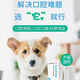 Paiwei SF same-day delivery Paiwei stomatitis net for pets with red and swollen sores, cup-shaped lysozyme for dogs and cats, specifically for cats