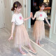 Children's clothing, girls' suits, summer dresses, children's suits, girls' short-sleeved T-shirts and skirts, two-piece suits, casual clothes for middle-aged and older children, 4-14 years old, children's clothing, beige + pink skirt S185150, recommended height 140cm