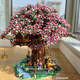 Лан Лиан совместим с Lego Drain Drail House Sakura House Rainbow Girl Series Series Строительные блоки игрушки для девочек с большой сложностью Акриловая версия Suzhou Garden 4877 штуки / Включены