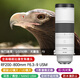 Canon RF200-800mm F6.3-9 IS USM mirrorless full-frame super telephoto zoom lens RF200-800mm F6.3-9 IS USM Official standard configuration One-year nationwide warranty It is recommended to purchase a package