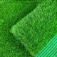 Mengrouju simulated lawn carpet turf gardening plastic fake turf simulated lawn 20mm spring grass 1P green bottom