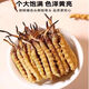 
Beijing Tongrentang Official Store Flagship [must-see for gifts] Cordyceps authentic dried goods Cordyceps sinensis 2024 high-end gift box 2 sticks/gram Complete grass [10 grams pack]