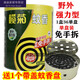 Xinliming mosquito-repellent incense, no-disassembly type, olive chrysanthemum mosquito-repellent incense, no-disassembly, strong mosquito repellent in the field, wild fishing, outdoor camping, 2 boxes