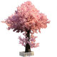 Flower e-flow simulated cherry blossom fake peach tree large plant simulated cherry blossom tree simulated peach blossom tree wishing tree peach blossom living room decoration extension 3 meters high and 2.5 meters extended