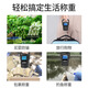 凯丰高精度手提电子秤勾勾称家用50kg小型便携式快递称小秤弹簧秤