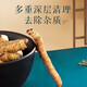 Sandy Konzang Cordyceps Cordyceps Ausgewählte Qualität Cordyceps Cordyceps Ess erschwinglich für Familiengeschenke Ganzes Pure Meat Festival 50g Pack