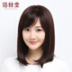 Baisitang Wig Cabello largo para mujeres Cubierta completa Tapa completa Cubierta de cabello Largo Cabello liso Temperatura ambiente de seda (marrón oscuro) (B719)