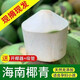 Selected large fruits, freshly picked Hainan coconut, green coconut, peeled pregnant women, goat fruit, water coconut, 4 pack