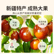 贡苑 红枣片302g 新疆大红枣干无核枣片可搭枸杞菊花草茶泡水免洗即食