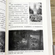 Nanjing Massacre Zhang Chunru Uncut Nanjing Massacre Books est épais 680 pages. Tous les enregistrements du massacre de Nanjing He Jianming et Zhang Chunru enregistrent vraiment une catastrophe sanglante. La guerre de résistance oubliée contre le Japon. Rabe. Le journal de bataille intime des soldats japonais. Les femmes qui ne peuvent pas oublier l'histoire. Le livre de disques complet. Le livre de disques complet. Le livre de disques complet.