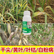 Garlic Bacteria Extract Original Liquid Garlic Special Medicine Dry Tip Yellow Leaf Root Rot Leaf Blight Rust Purple Spot Sterilizing Garlic Bacteria Clear 100ml 1 Bottle