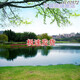 
New live background video live room anchor landscape pastoral outdoor scene Kuaishou Douyin Internet celebrity background cloth 11149 width 2.5 meters high 2.5 meters