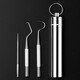 Meet the Beauty Stainless Steel Toothpick Metal Teeth Picking Calculus Remover Portable Oral Teeth Cleaning Set Tool
