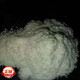 【官方大药房】北大荒 免疫球蛋白 牛初乳粉36% 北大荒垦造见荒北垦 牛初乳粉 免疫球蛋白26 牛初乳粉新包装 6盒