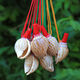 Aseblarm [4] Natural conch horn can blow trumpet Children's toys Conch shell crafts shell whistle Conch horn (4 random models) 5-10 cm