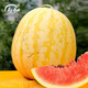 Shouhe Yellow Skin Red Flesh Watermelon Seeds Four Seasons Red Beauty Yellow Skin Red Flesh Watermelon Seeds 100 capsules 2