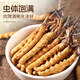Yuanjiang grass Cordyceps sinensis high-altitude new dried cordyceps gift box delivery to leaders and elders 3 pieces/g 5 grams [source warming and supplement]