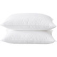 All Seasons Hotel Orange Hotel same style pillow core Vienna Hanting Atori Feng five-star sleep aid pillow 76*48 cotton high pillow 1370g (height of the hotel) single (need to take a pair of two)