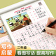 Liupintang looks at pictures, writes words and practice calligraphy, special for primary school students, one daily practice for second grade, a complete set of Chinese language people's education version, children's regular script composition, pen copying practice, hard-pen calligraphy practice calligraphy book