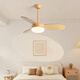 Wetter Schaufel moderne einfache Kinderzimmer kleiner Ventilator Leuchtdüter Nachahmung Holz Getreide Haushalts Schlafzimmer Esszimmer Deckenlüfter Licht Frequenzumwandlung Stille Lüfter Lichtfrequenzumwandlung 42-684a Grau - Holzblatt Hanging Stange Volles Spektrum + Lichtumwandlung Fernbedienung Fernsteuerung