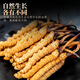 [Tibet Straight Hair] Nagqu First Stubble Cordyceps Authentic High-altitude Dried Cordyceps Gift Boxes First Choice Selected Extra Large Grass 4 Roots/G 100 Roots