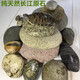 Runhuanian turtle basking platform stone climbing platform flat pebble turtle tank floating island basking stone fish tank 2 pieces 5-7cm