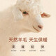 杉杉【羊毛加厚】西服男春秋新款商务休闲上衣垂感易打理西装外套男 灰格 48 175/92A