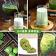Green juice tea Barley Ruoye Green Juice 100 Ant Barley Green Juice Powder Meal Replacement Powder Enzyme Plant Prebiotic Green 100 Consolidation Period